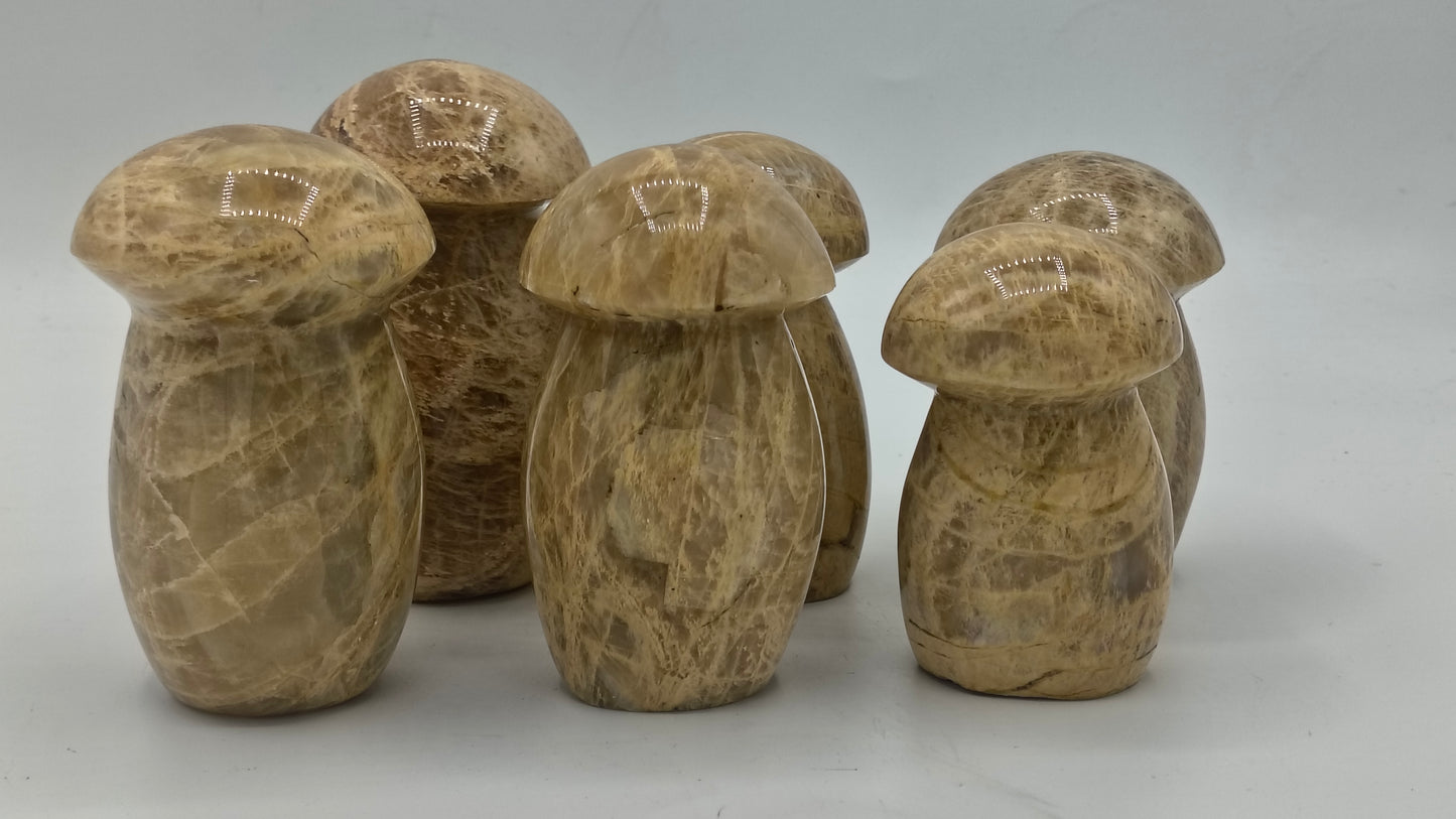 Moonstone Mushroom Carving