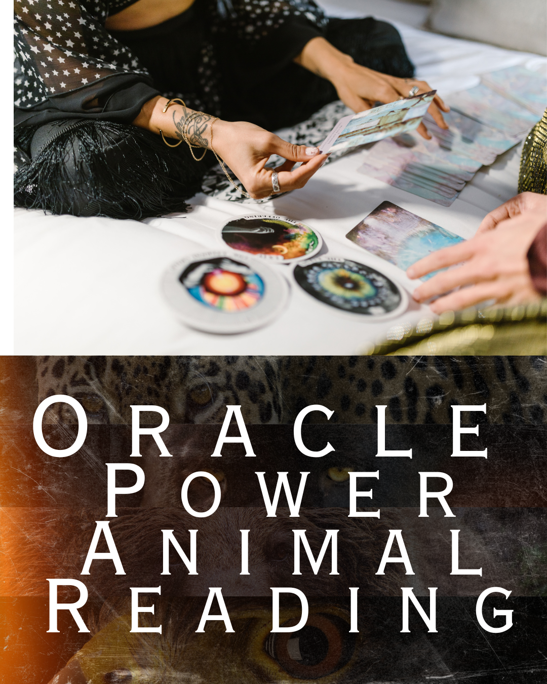 Krystle Stägman Shamanic Clearings & Energy Work