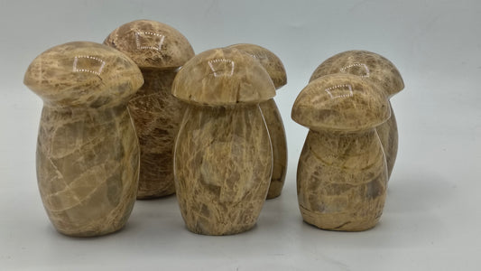 Moonstone Mushroom Carving