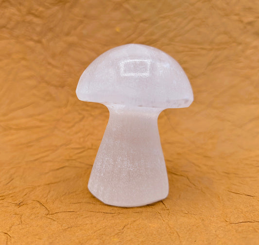 Selenite Mushroom Cravings