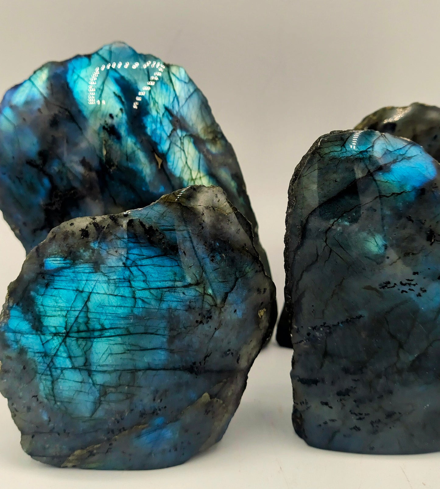 Labradorite Shields